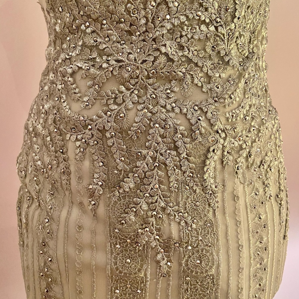 Beautiful, Elegant , mermaid gown by Elle Wilde by Mon Cherie size 0 - Picture 6 of 8